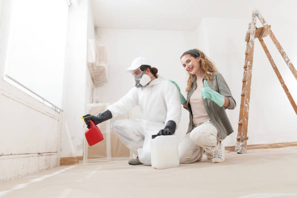 Environmental Consulting for Mold Prevention in Orleans, IN